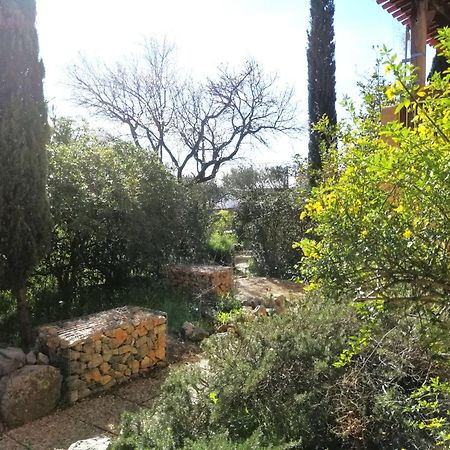 T2 36 M2, Rdc De Villa, Clim, Gd Jardin Clos, Animx Ok, Quartier Mt Faron Tres Calme, Wifi, Parking Toulon Eksteriør billede