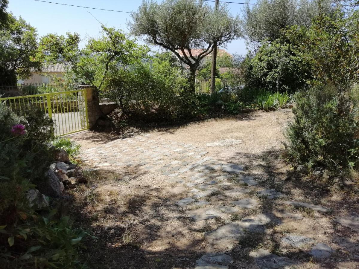 T2 36 M2, Rdc De Villa, Clim, Gd Jardin Clos, Animx Ok, Quartier Mt Faron Tres Calme, Wifi, Parking Toulon Eksteriør billede