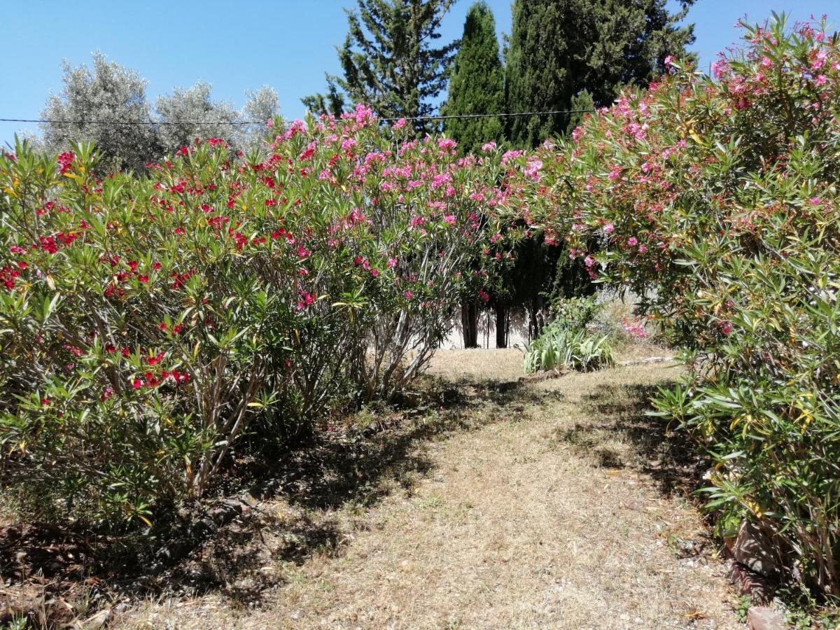 T2 36 M2, Rdc De Villa, Clim, Gd Jardin Clos, Animx Ok, Quartier Mt Faron Tres Calme, Wifi, Parking Toulon Eksteriør billede