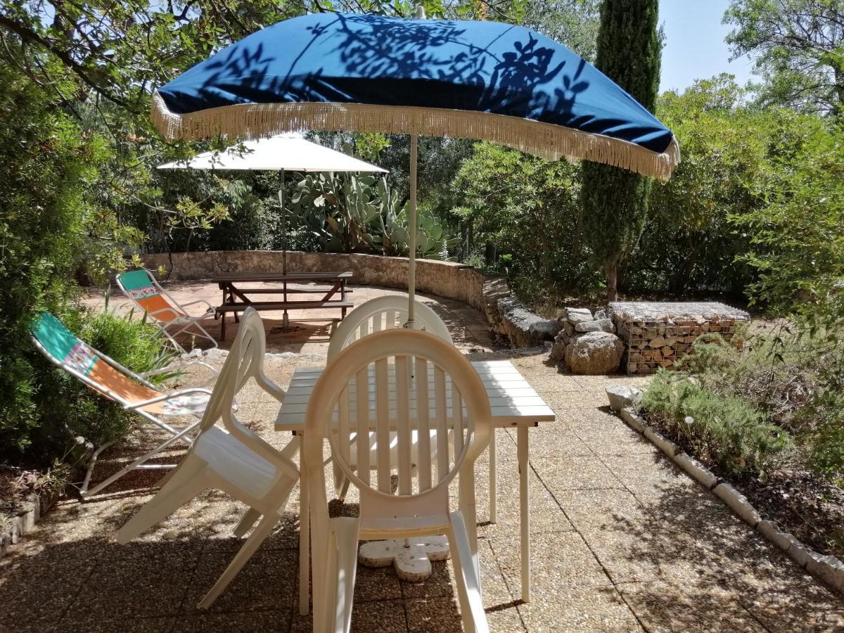 T2 36 M2, Rdc De Villa, Clim, Gd Jardin Clos, Animx Ok, Quartier Mt Faron Tres Calme, Wifi, Parking Toulon Eksteriør billede