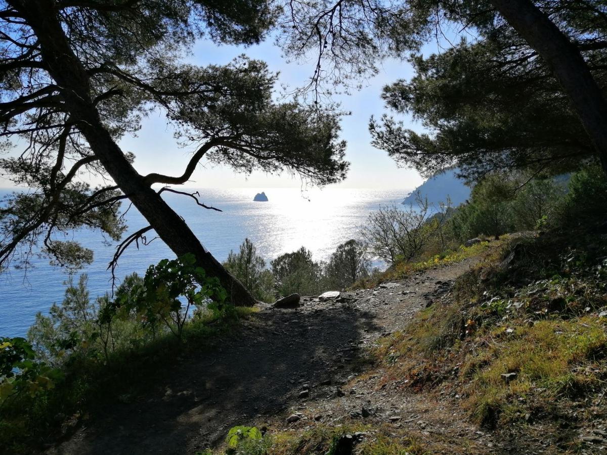 T2 36 M2, Rdc De Villa, Clim, Gd Jardin Clos, Animx Ok, Quartier Mt Faron Tres Calme, Wifi, Parking Toulon Eksteriør billede