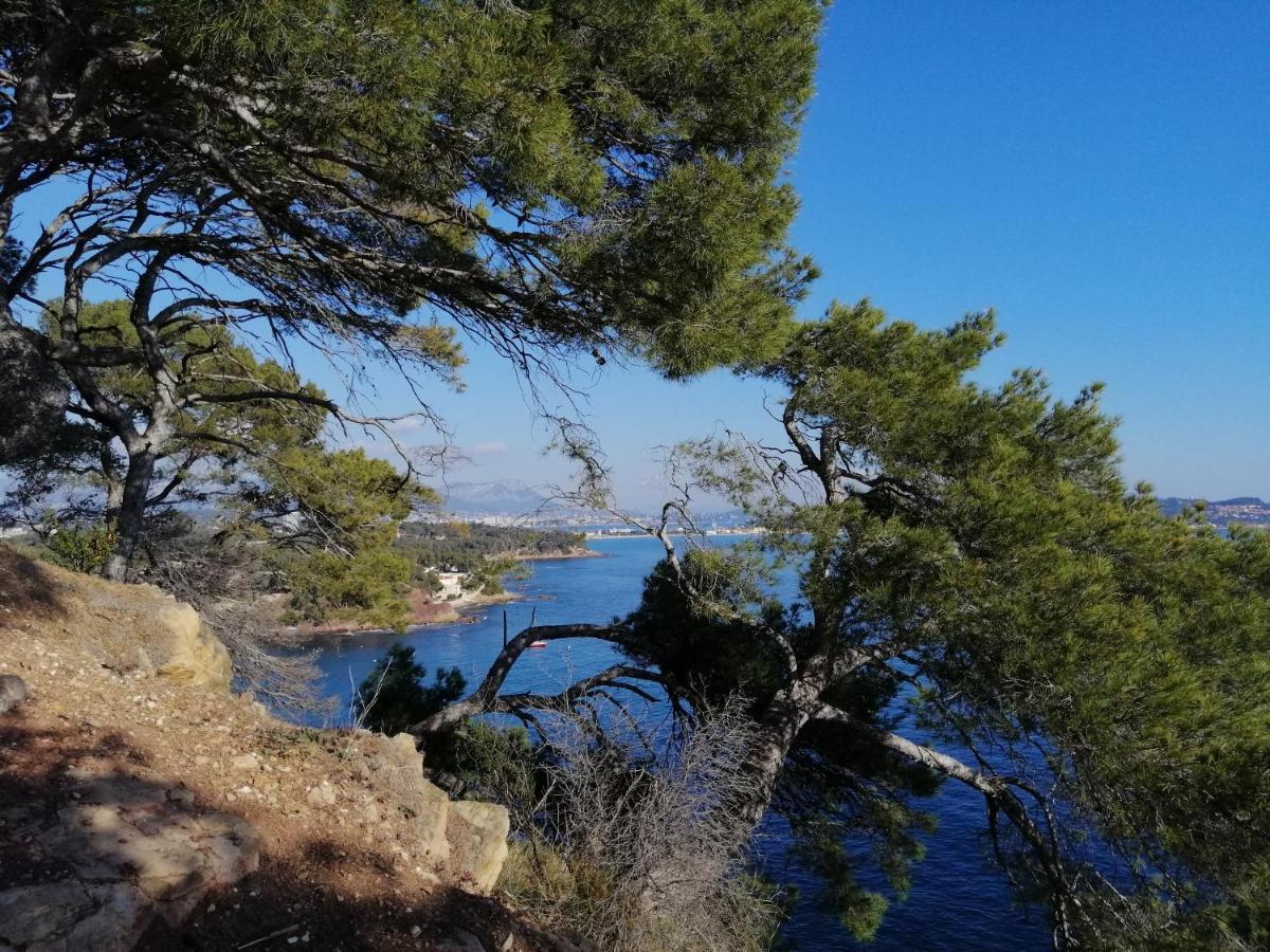T2 36 M2, Rdc De Villa, Clim, Gd Jardin Clos, Animx Ok, Quartier Mt Faron Tres Calme, Wifi, Parking Toulon Eksteriør billede